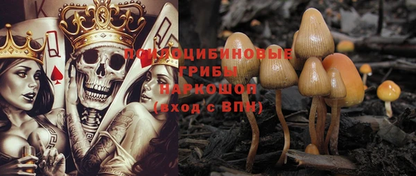 героин Алексин