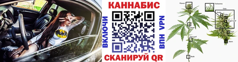 Бошки марихуана OG Kush Нефтекамск